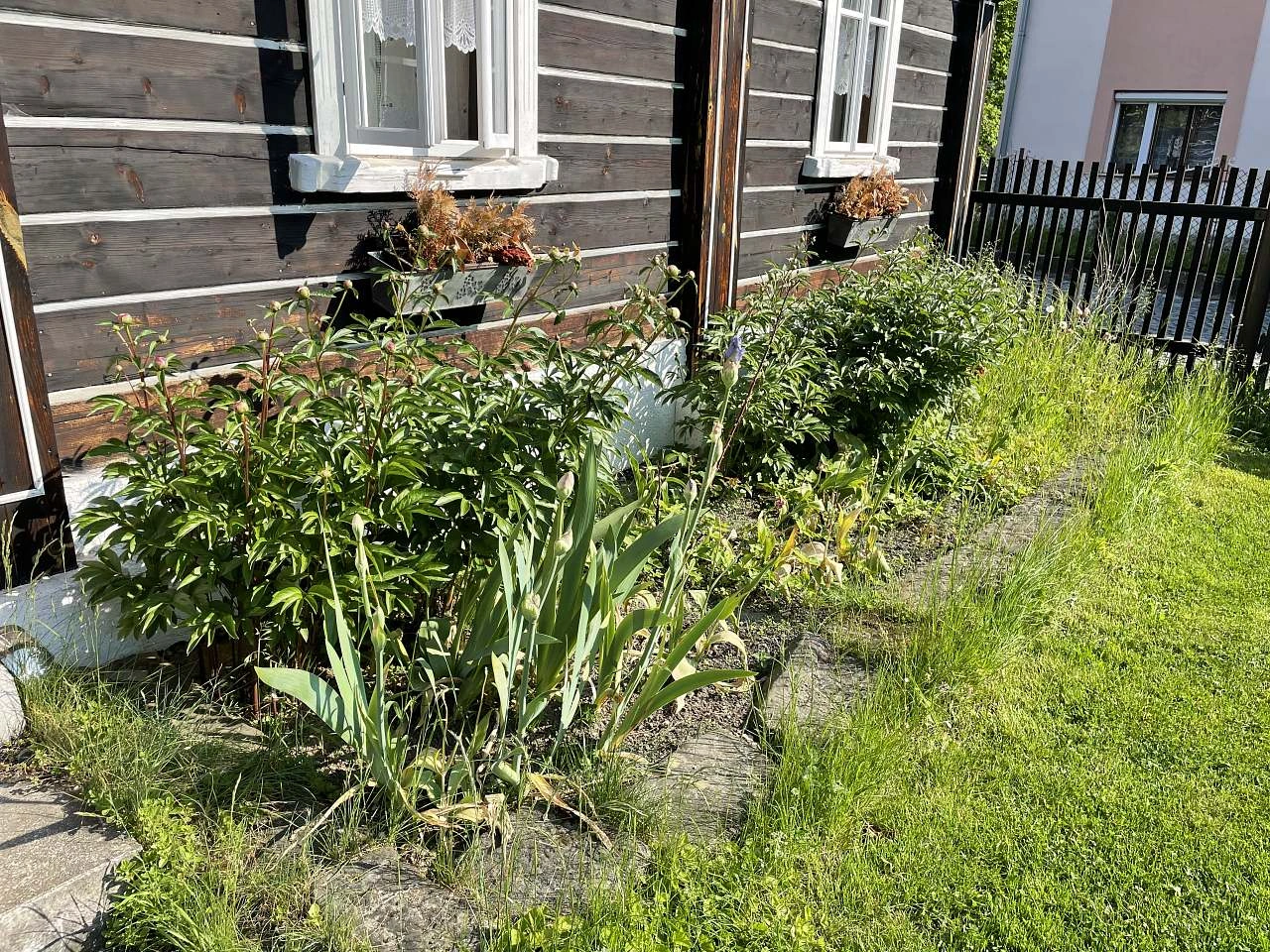 Květinová zahrada před domem