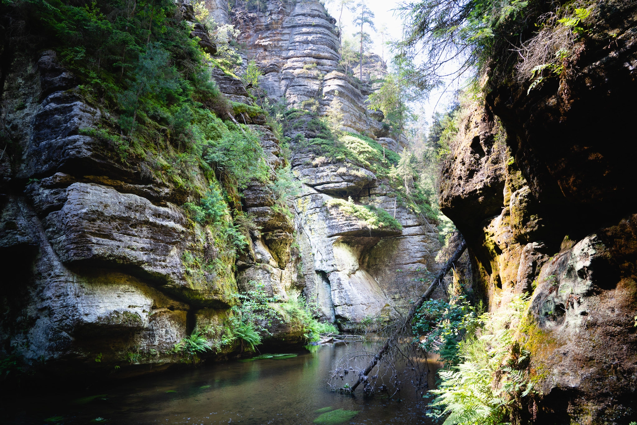 Kyjovské údolí a skalní hrádky – dobrodružství ve skalách